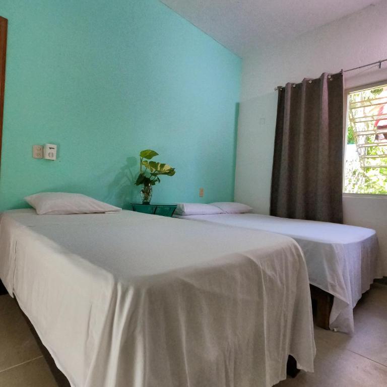 Paziflora Hostel -STARLINK- - Cama individual en habitación compartida - 1