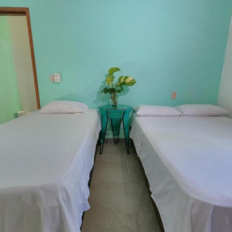 Paziflora Hostel -STARLINK- - Cama individual en habitación compartida - 3