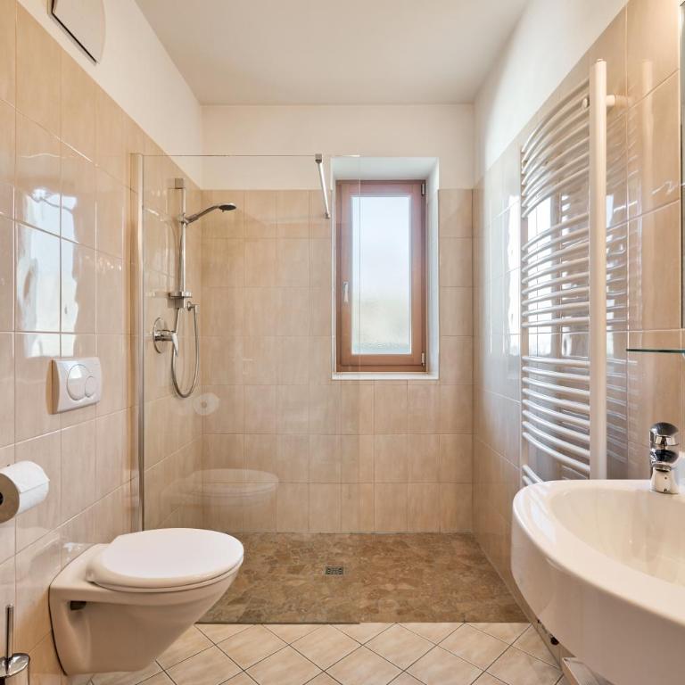 Residence Schiestlhof - Apartamento de 1 dormitorio con vistas a las montañas - 6
