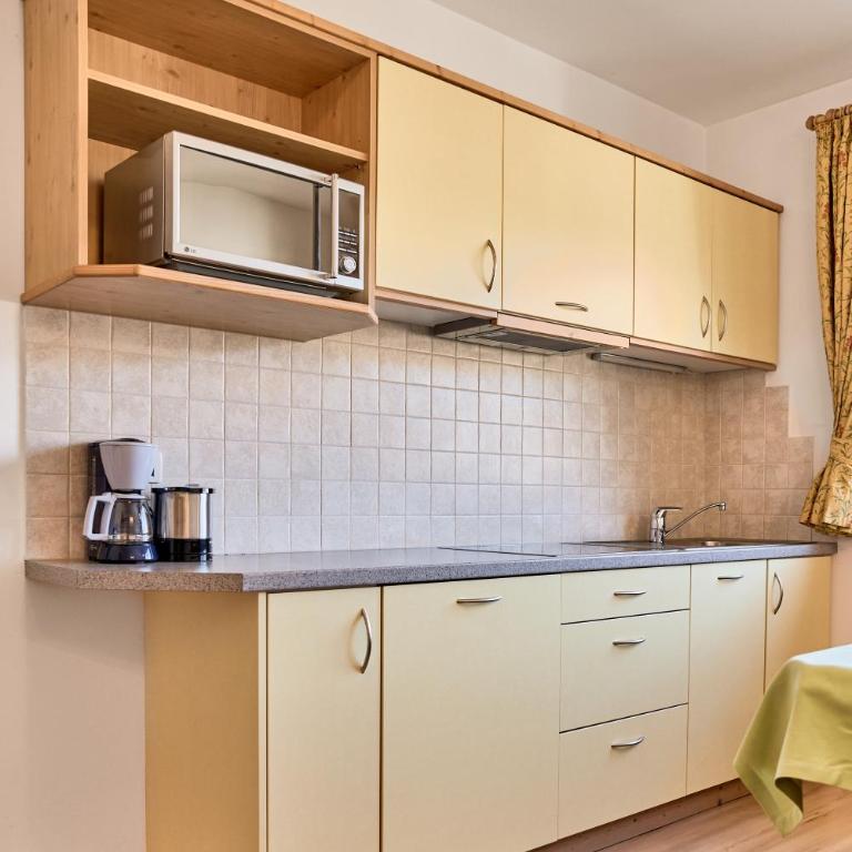 Residence Schiestlhof - Apartamento de 1 dormitorio con vistas a las montañas - 8