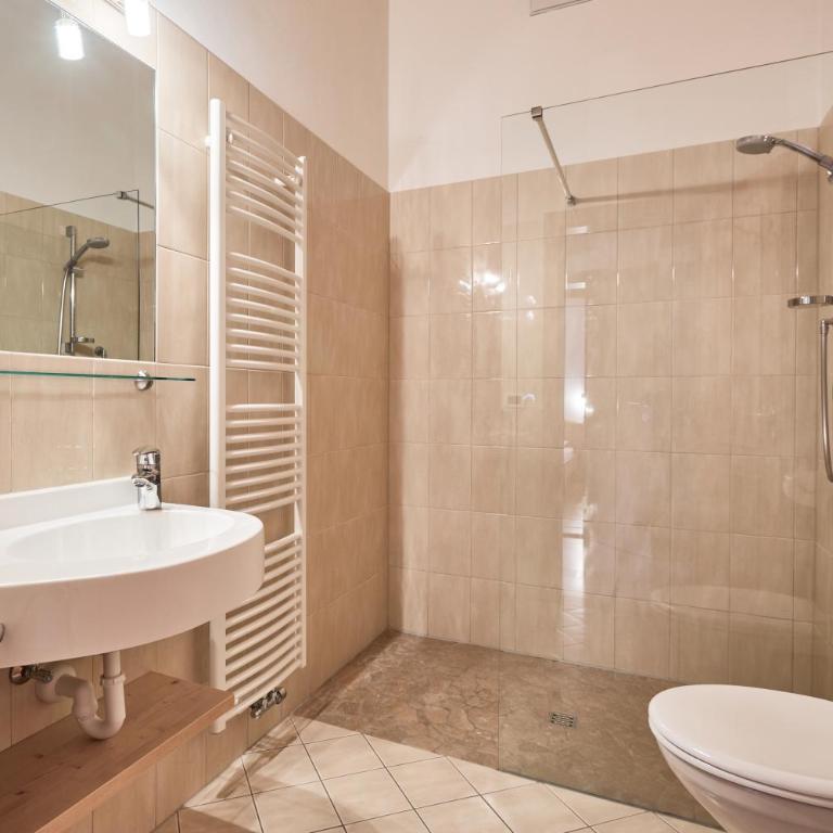 Residence Schiestlhof - Apartamento de 1 dormitorio con vistas a las montañas - 18