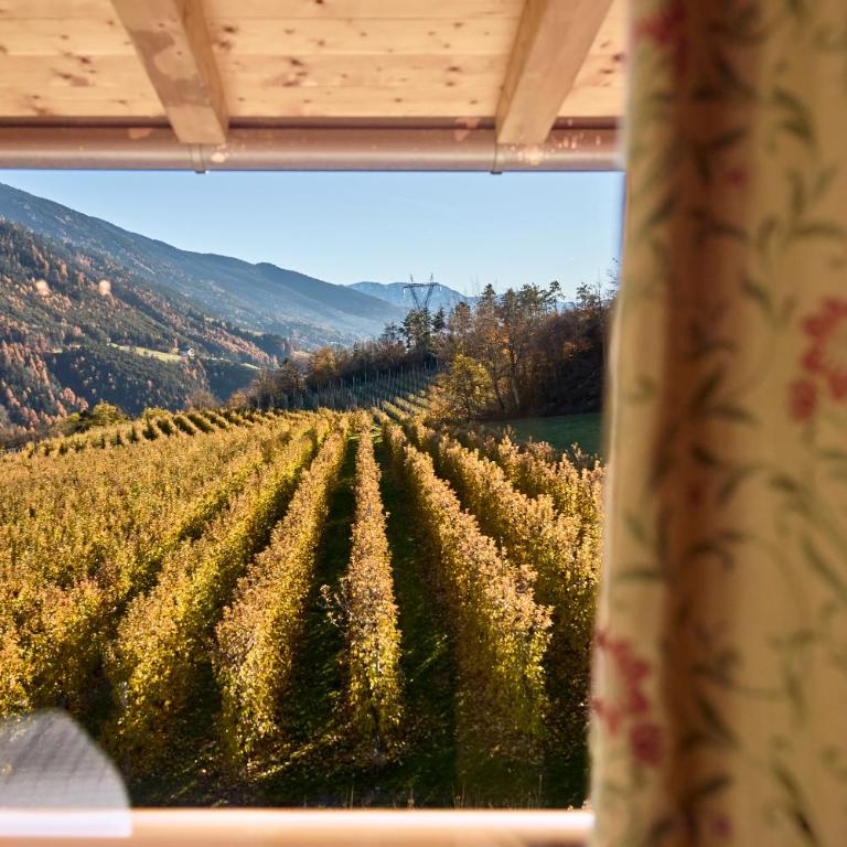 Residence Schiestlhof - Apartamento de 1 dormitorio con vistas a las montañas - 11