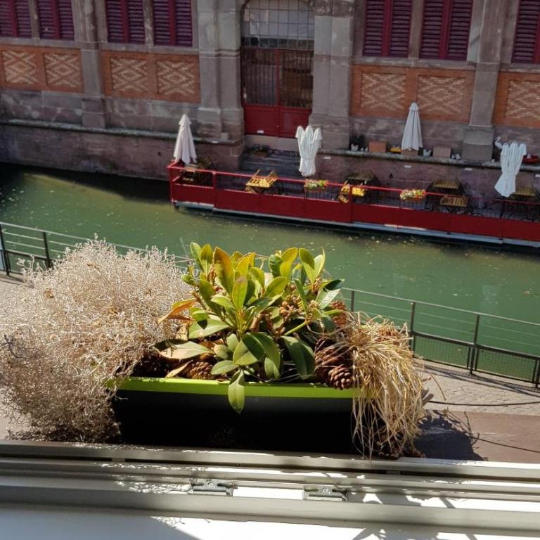 New ! VUE PETITE VENISE-PLACE TO BE OLD TOWN - PARKING - Apartment mit 1 Schlafzimmer - 17