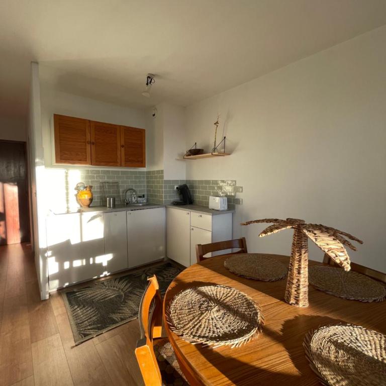 "Les Palmiers" Studio spacieux vue mer Terrasse & Parking - Appartement - Vue sur Mer - 17