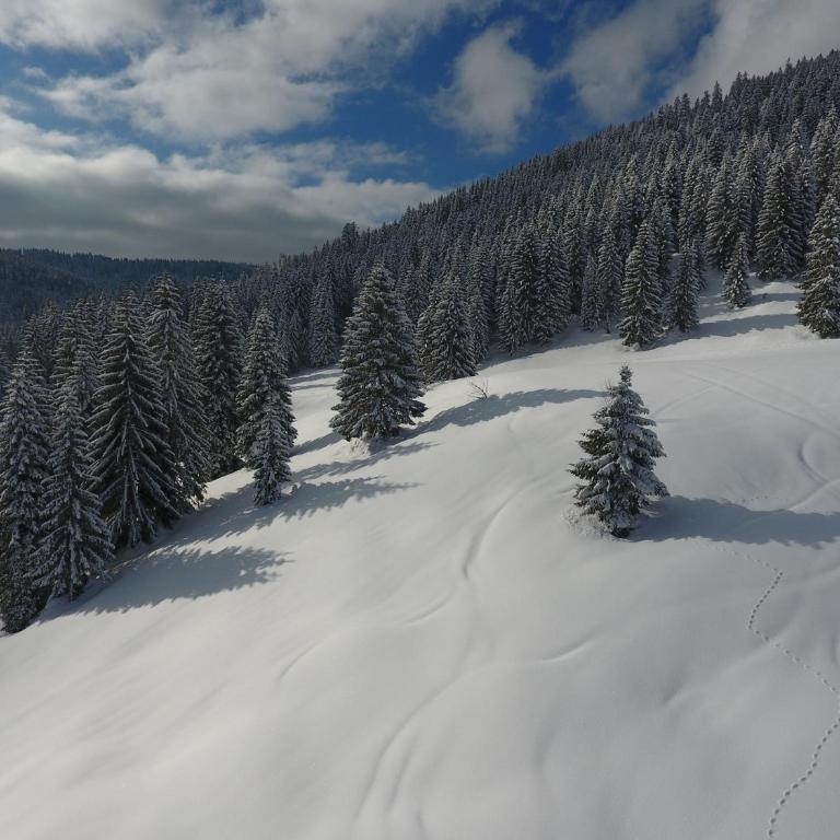 Herbst Alm - Chalet - 21