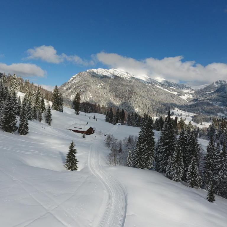 Herbst Alm - Chalet - 20