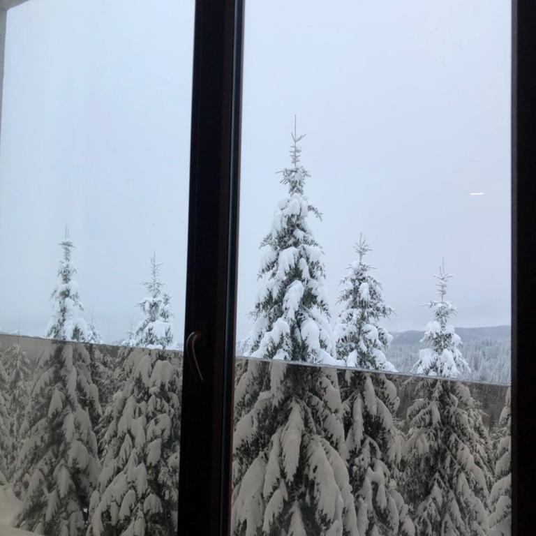 Vila Planinsko Blago Luxury Apartmans - Apartman sa 1 Spavaćom Sobom - 16