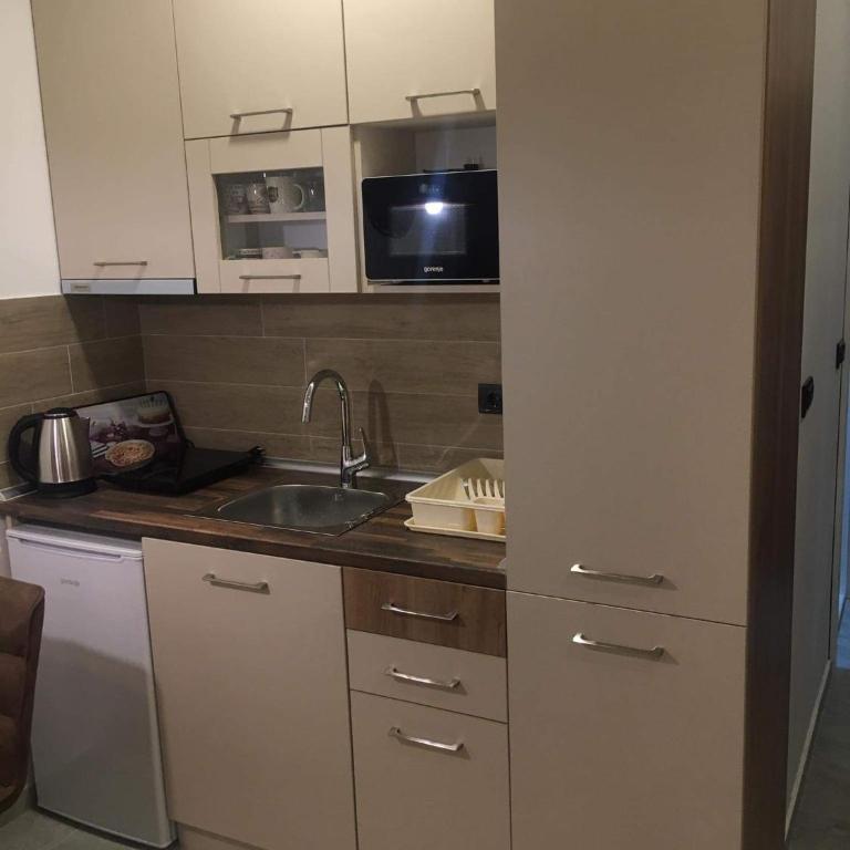 Apartman “N 17”Milmari-Kopaonik - Family Studio - 44