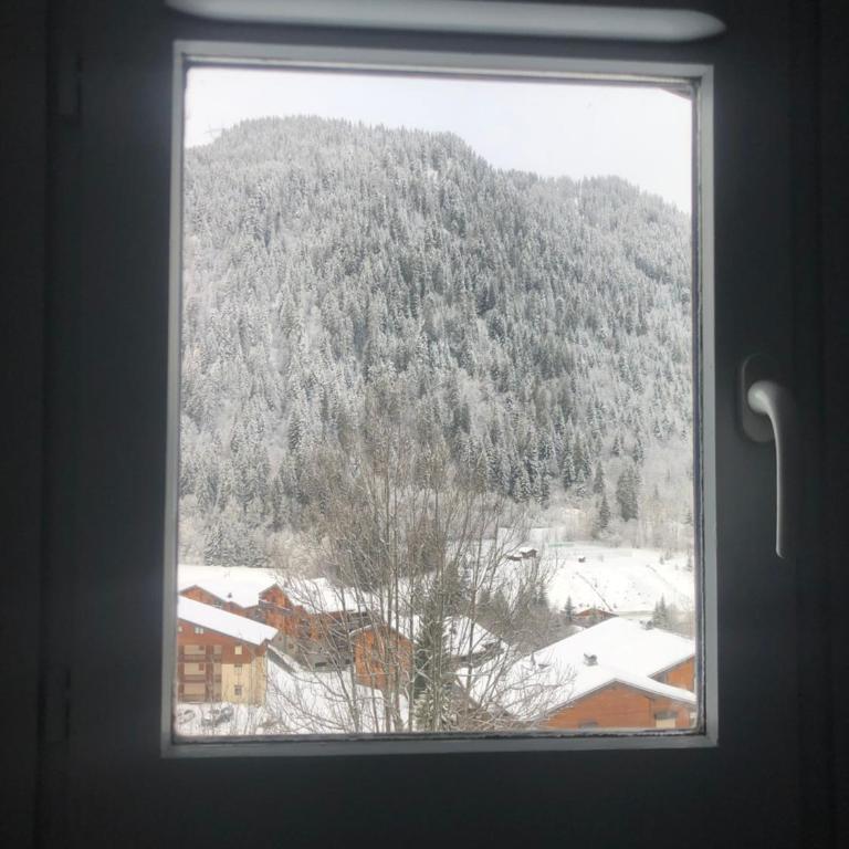 La chaumière des neiges - Appartement 2 Chambres - 4