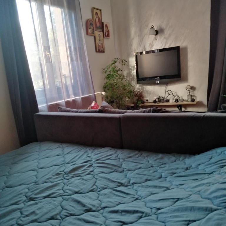 Studio Sanja Knez - Standardni Apartman - 19