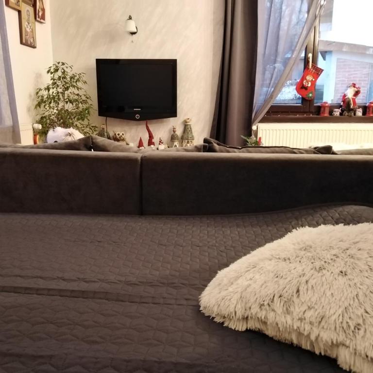 Studio Sanja Knez - Standardni Apartman - 23