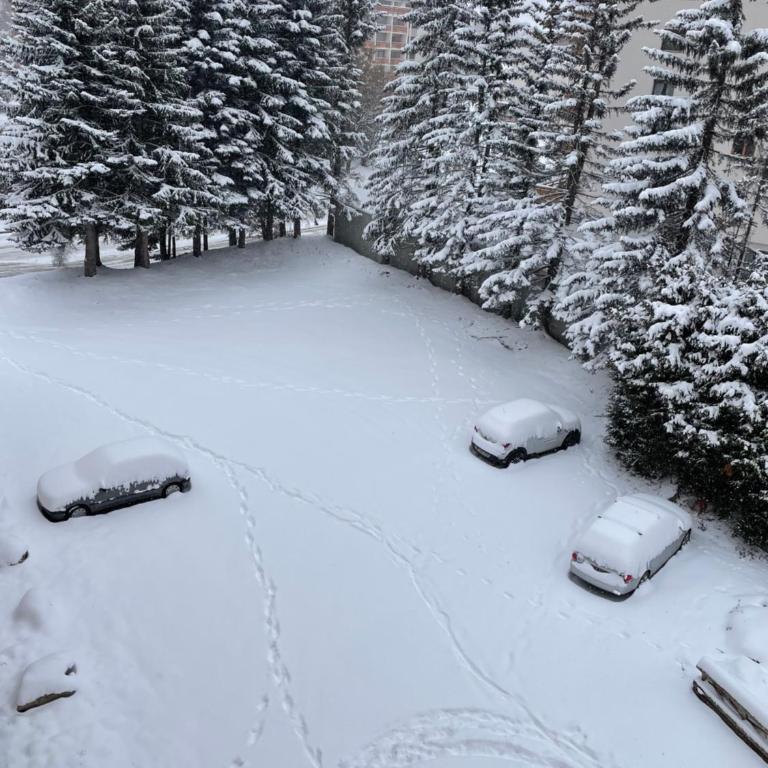 Appart centre station les 2 Alpes, parking, wifi - Apartment mit 2 Schlafzimmern - 24