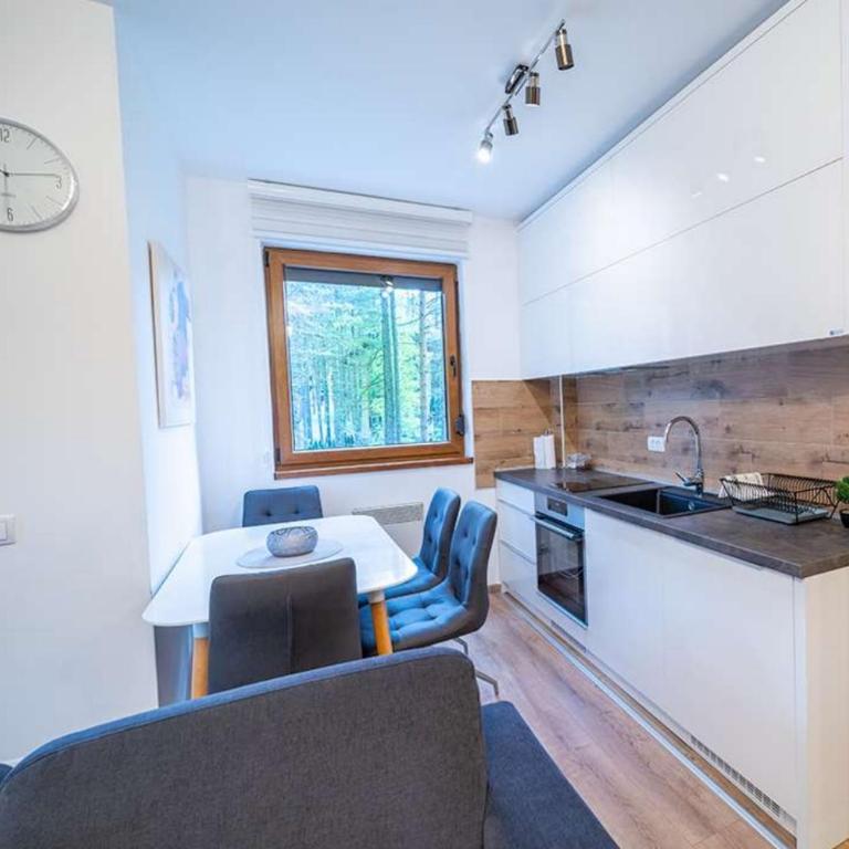 Apartman Pavle - Apartman sa 1 Spavaćom Sobom - 15