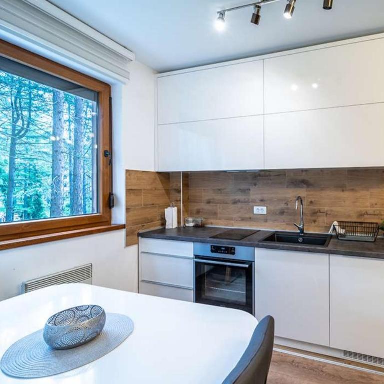 Apartman Pavle - Apartman sa 1 Spavaćom Sobom - 20