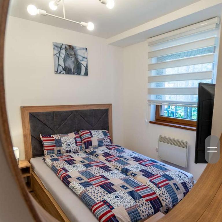 Apartman Pavle - Apartman sa 1 Spavaćom Sobom - 22