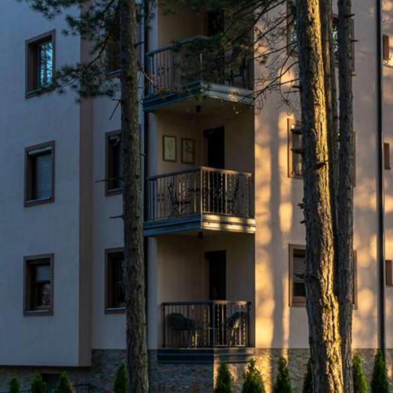 Apartman Pavle - Apartman sa 1 Spavaćom Sobom - 26