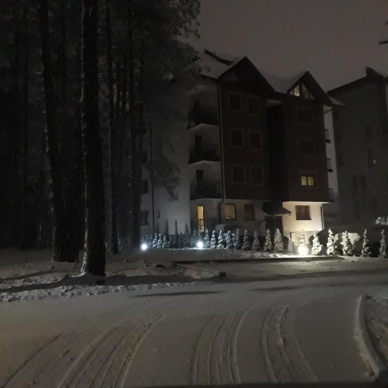 Apartman Pavle - Apartman sa 1 Spavaćom Sobom - 49