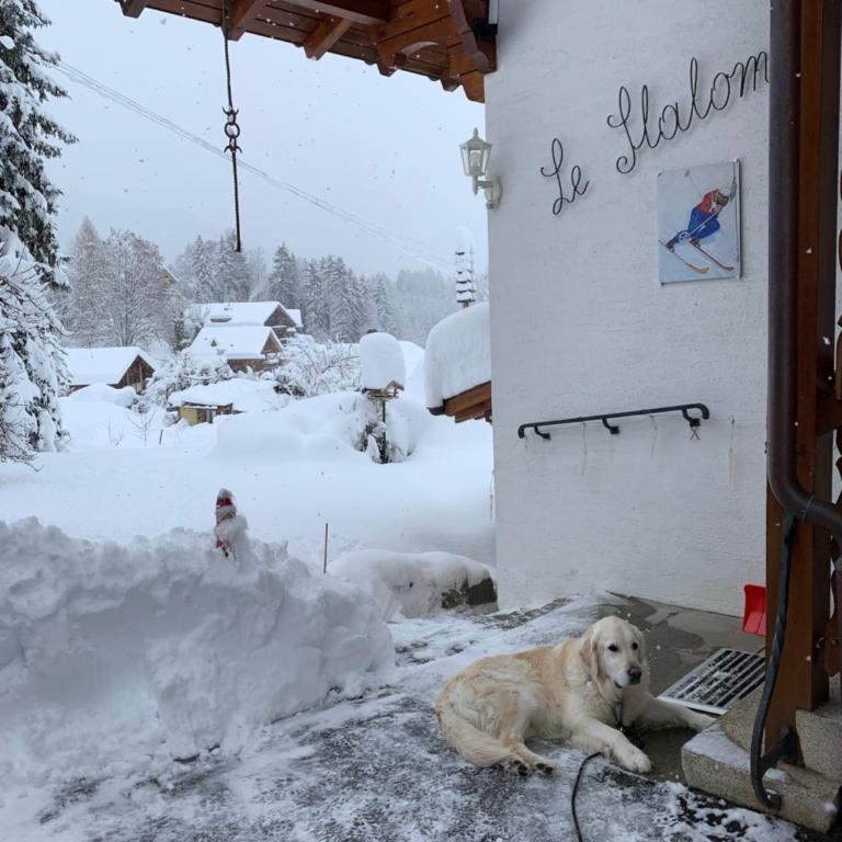 Chalet Le Slalom - Apartment - 45