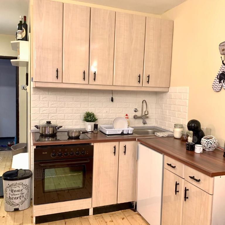 Ski-in & Ski-out, Apartman Filip - 30m from GONDOLA Brzeće - One-Bedroom Apartment - 15