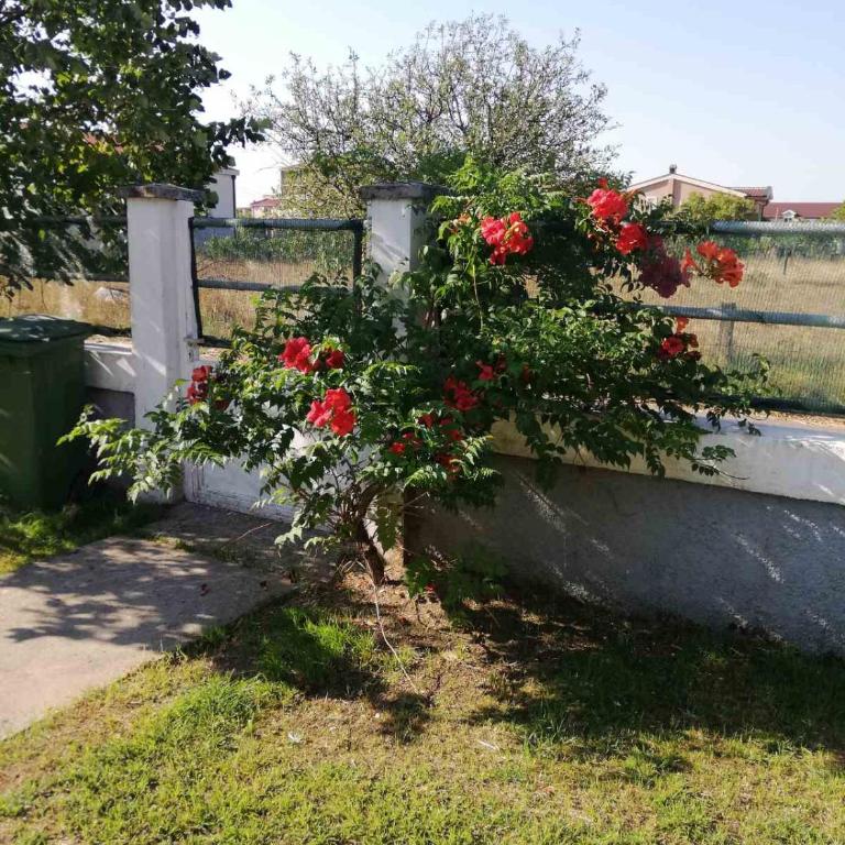 Prima House - Apartman sa 3 Spavaće Sobe - 4