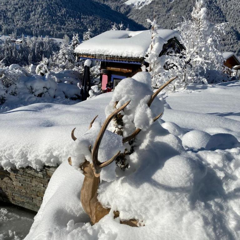 Micro-lodge, Le Petit Nid d'Amour - Kleines Chalet - 49