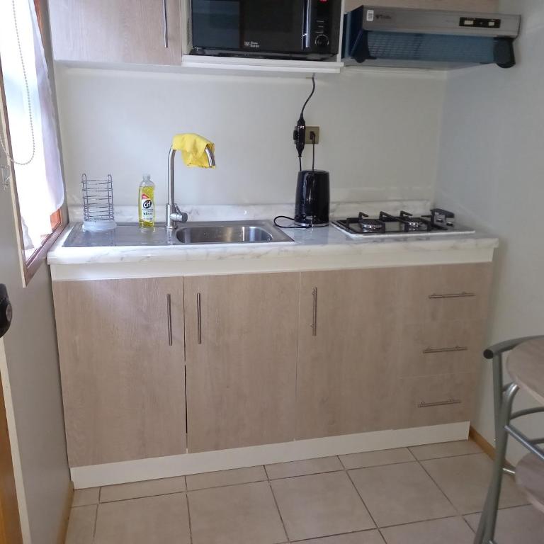 Santa Elena de Maipo Home - One-Bedroom Apartment - 1