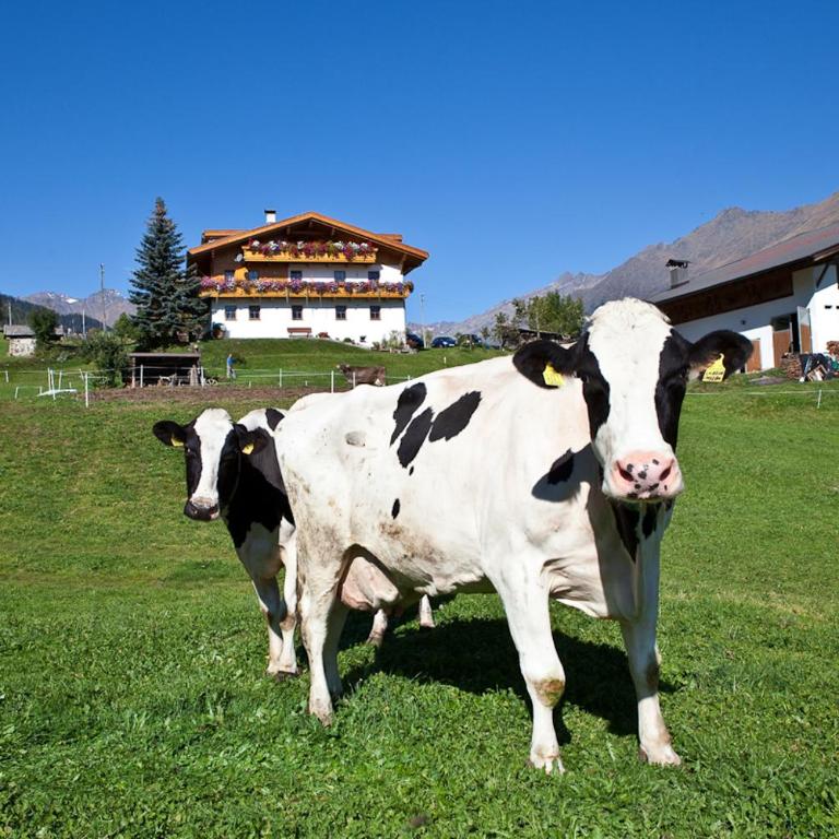 Schneiderhof, Chalet, Urlaub auf dem Bauernhof - Appartamento con 2 Camere da Letto - 2