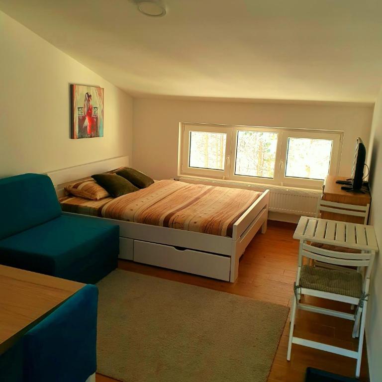 Divcibare Centar 2 - Standard Studio - 4