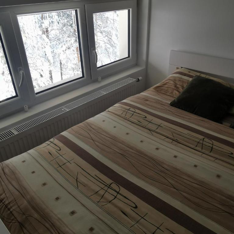 Divcibare Centar 1 - Apartman sa 1 Spavaćom Sobom - 15