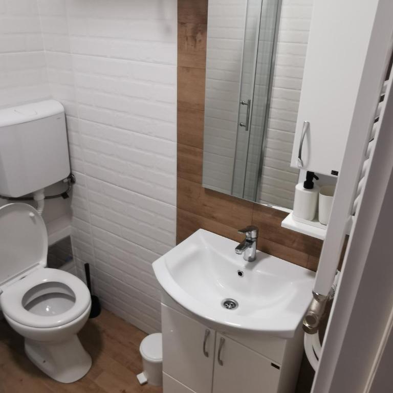 Divcibare Centar 1 - Apartman sa 1 Spavaćom Sobom - 8