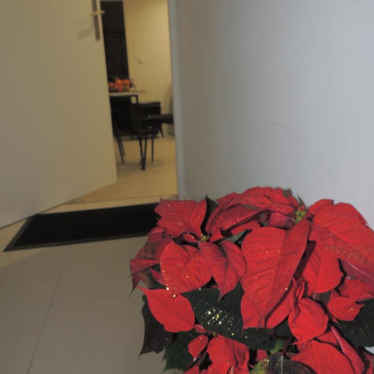 Le COSY Toulouse 3 min de la Gare à pieds Parking gratuit ventilateur - One-Bedroom Apartment - 41