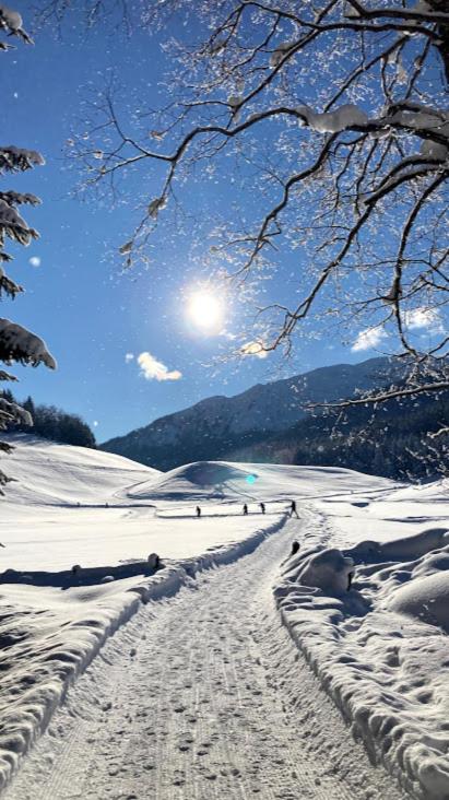 Schneiderhof, Chalet, Urlaub auf dem Bauernhof - Appartamento con 2 Camere da Letto - 9