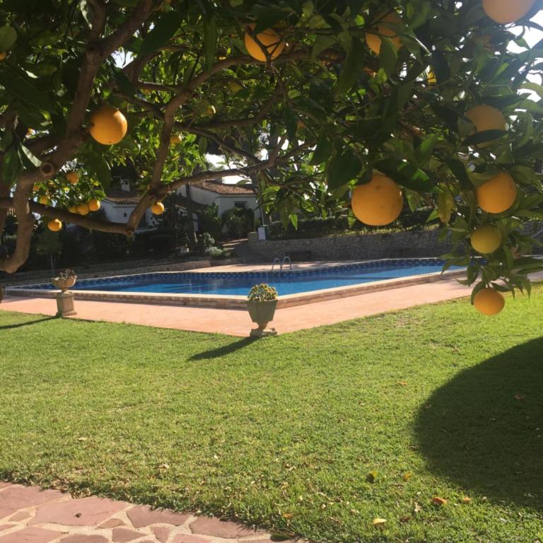Bungalow Marquérite Moraira, 5 minutes from beach - Villa Deluxe - 42