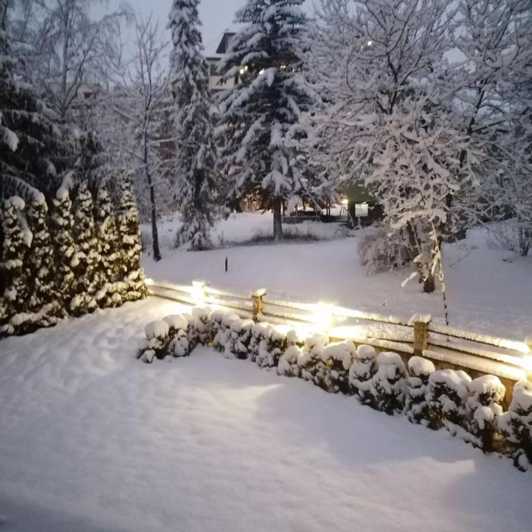 Zlatibor studio 10 - One-Bedroom Apartment - 22