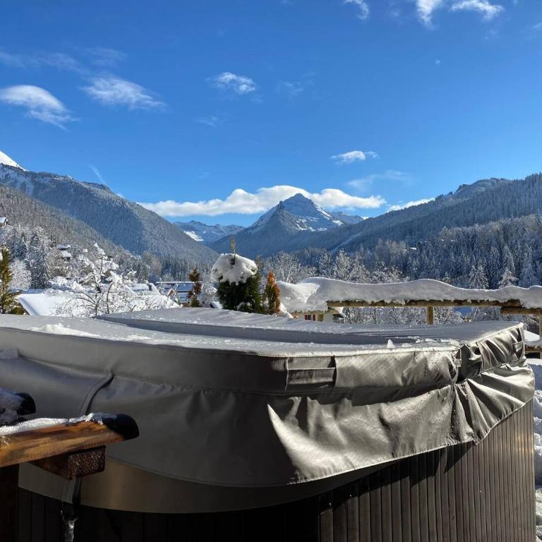 Chalet Azalée, Montriond, Morzine, Avoriaz - Chalet - 30