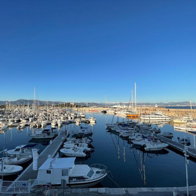 Nice Renting - MASSENA - LOFT - HEART of VIEIL ANTIBES - THE MARKET WITH SEA VIEW - Appartement 1 Chambre - 32