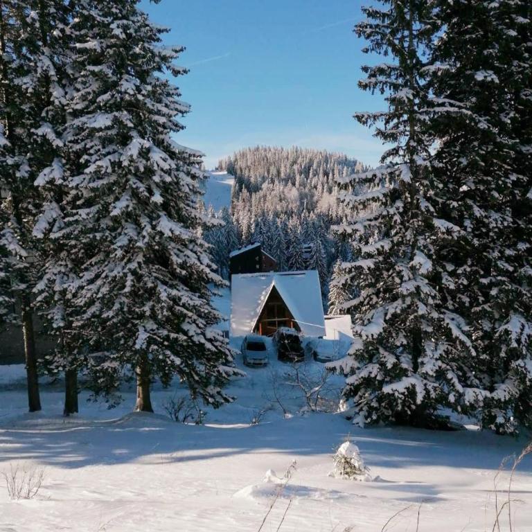 Pino apartman Jahorina - One-Bedroom Apartment - 20