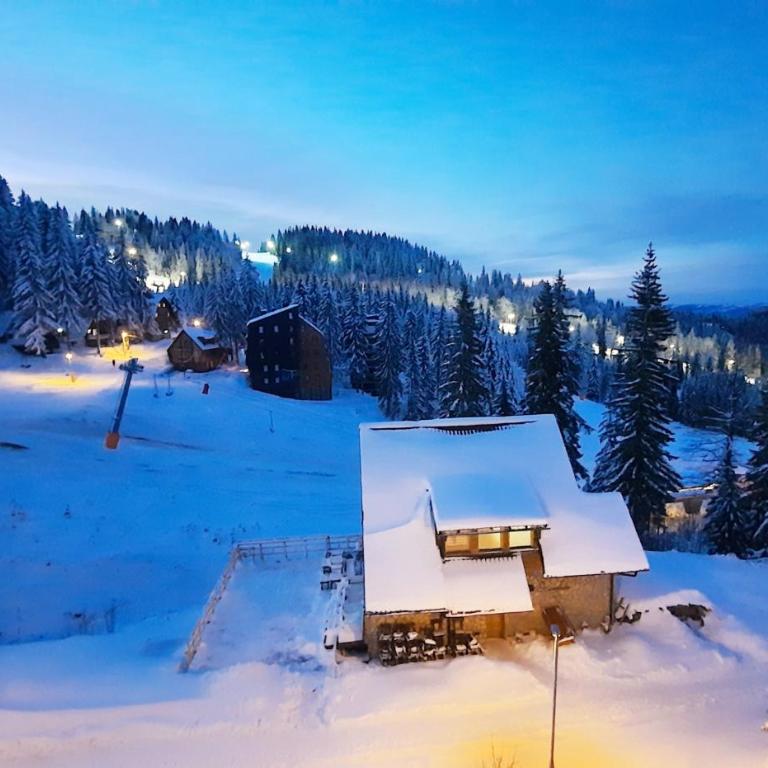 Pino apartman Jahorina - One-Bedroom Apartment - 18