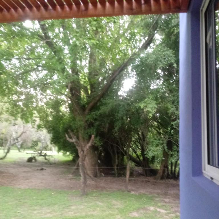 CASA-BOSQUE-ARROYO - Casa de 2 dormitorios - 8