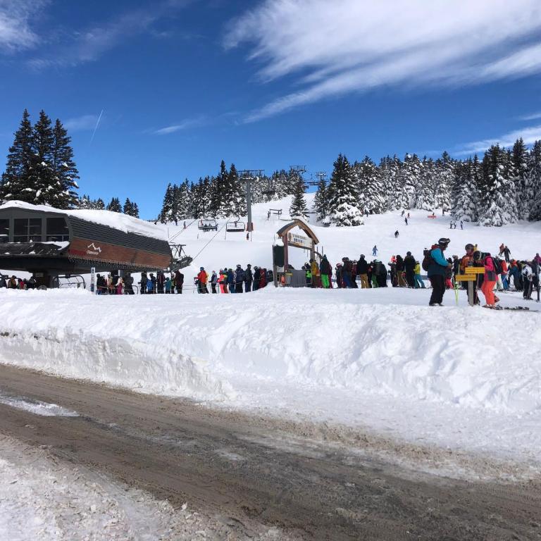 Charmant studio cabine COSY à 100 m des pistes - Apartamento de 1 dormitorio - 29