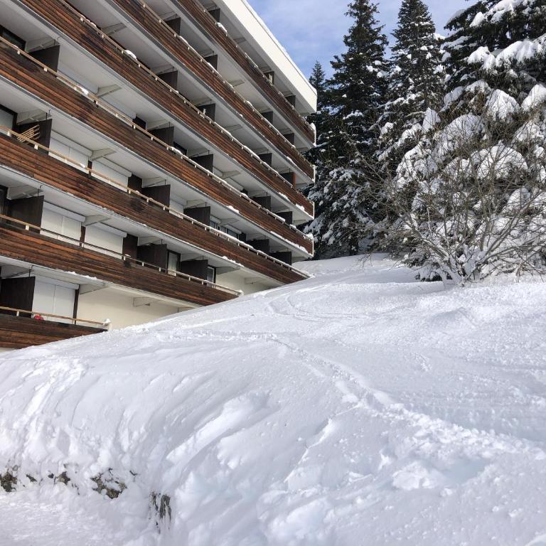 Charmant studio cabine COSY à 100 m des pistes - Apartamento de 1 dormitorio - 27