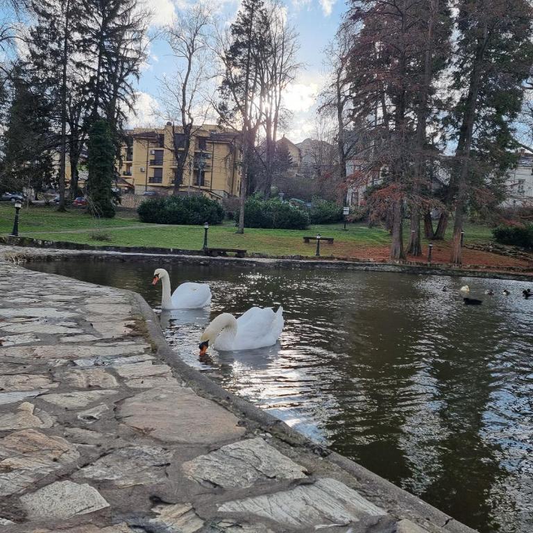 Apartman Temida Lux - Studio Apartment - 33