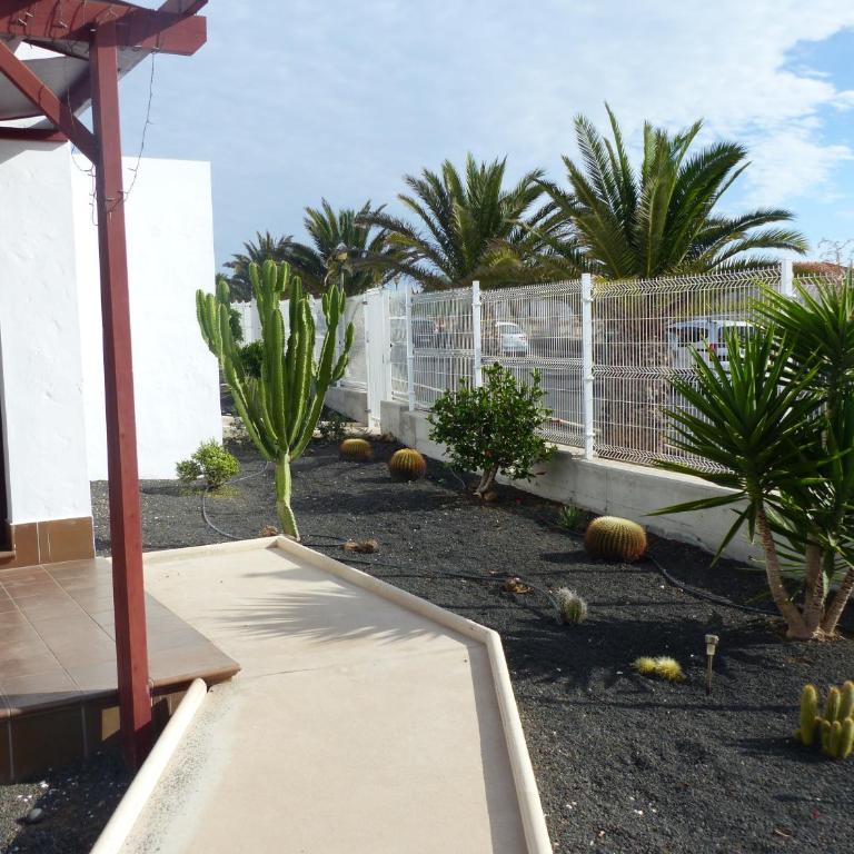 Luissarri´s home - One-Bedroom Apartment - 19