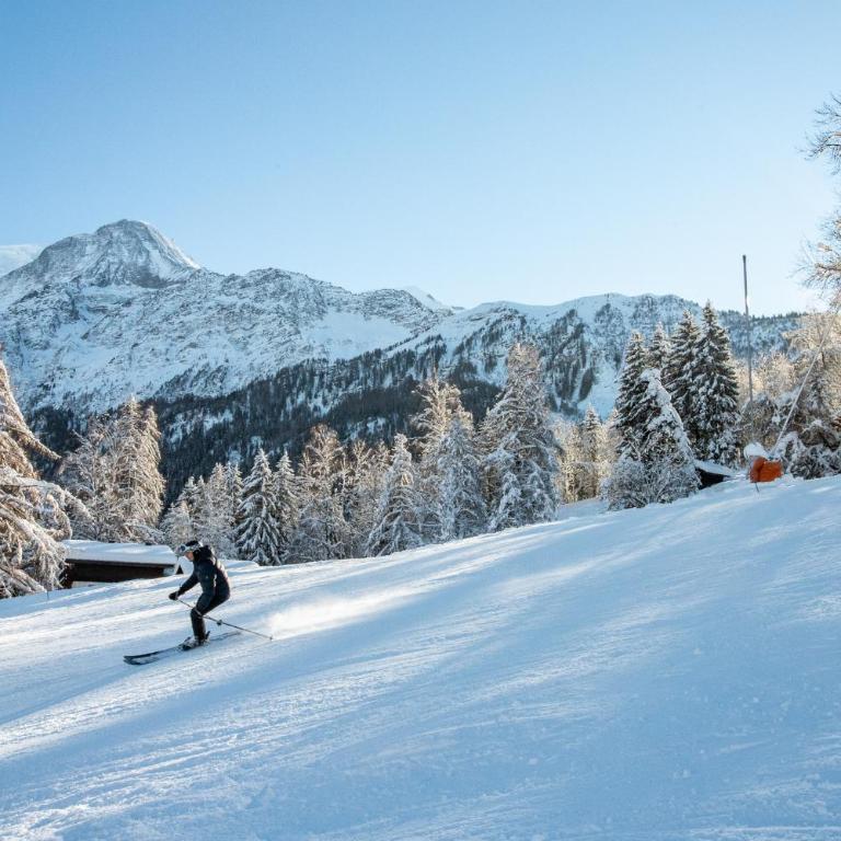 Apartment Refuge de Bellachat, Alpes Agency, Les Houches, Sleeps 4 - Appartement avec Balcon - 12
