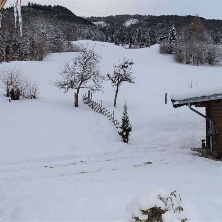 AlpinResort DerBacherhof - Chalet - 3