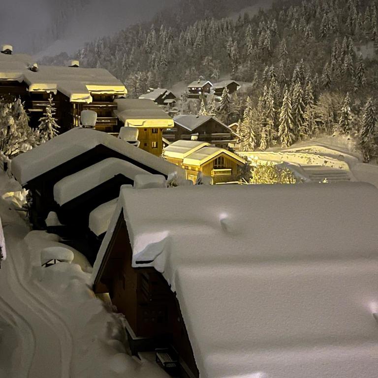Renovated 6 pers Luxury Chalet in Meribel Centre 85m2 3BR 3BA with Mountain View and boots heater ! - Appartement 3 Chambres - 38