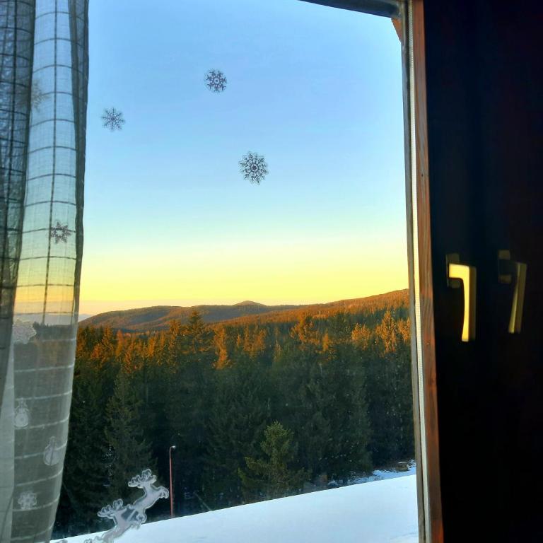 Apartman Vrhovi Kopaonik Vila Nikola Centar - Studio with Mountain View - 14