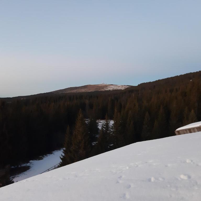 Apartman Vrhovi Kopaonik Vila Nikola Centar - Studio with Mountain View - 16
