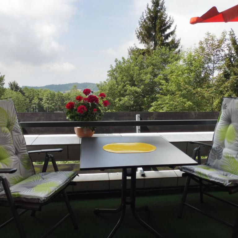 Komfortable Wohnungen und Studio in Sankt Englmar - Apartment mit Blick auf die Berge - 8