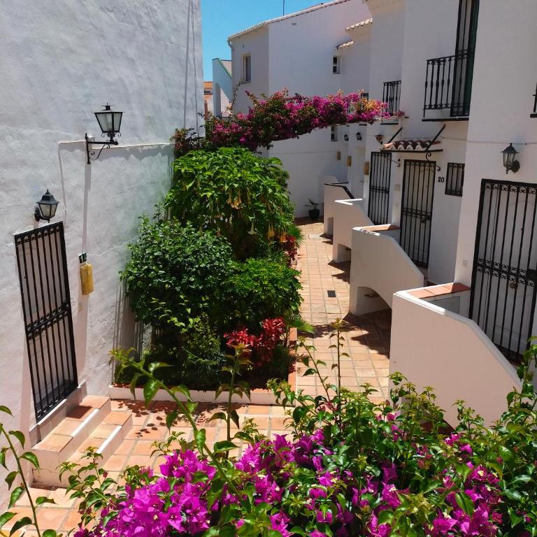 Nerja Sun Apartments Lola Bajamar - Apartamento de 1 dormitorio - 1